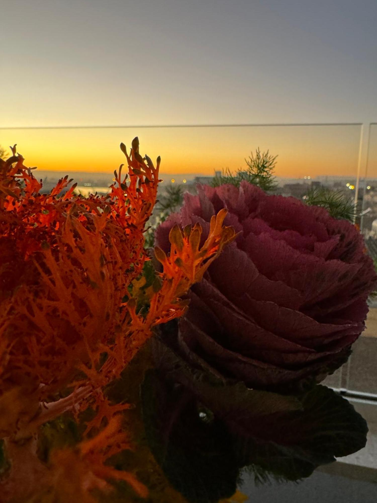 La Terrazza Sul Porto Bed & Breakfast Syracuse Eksteriør bilde