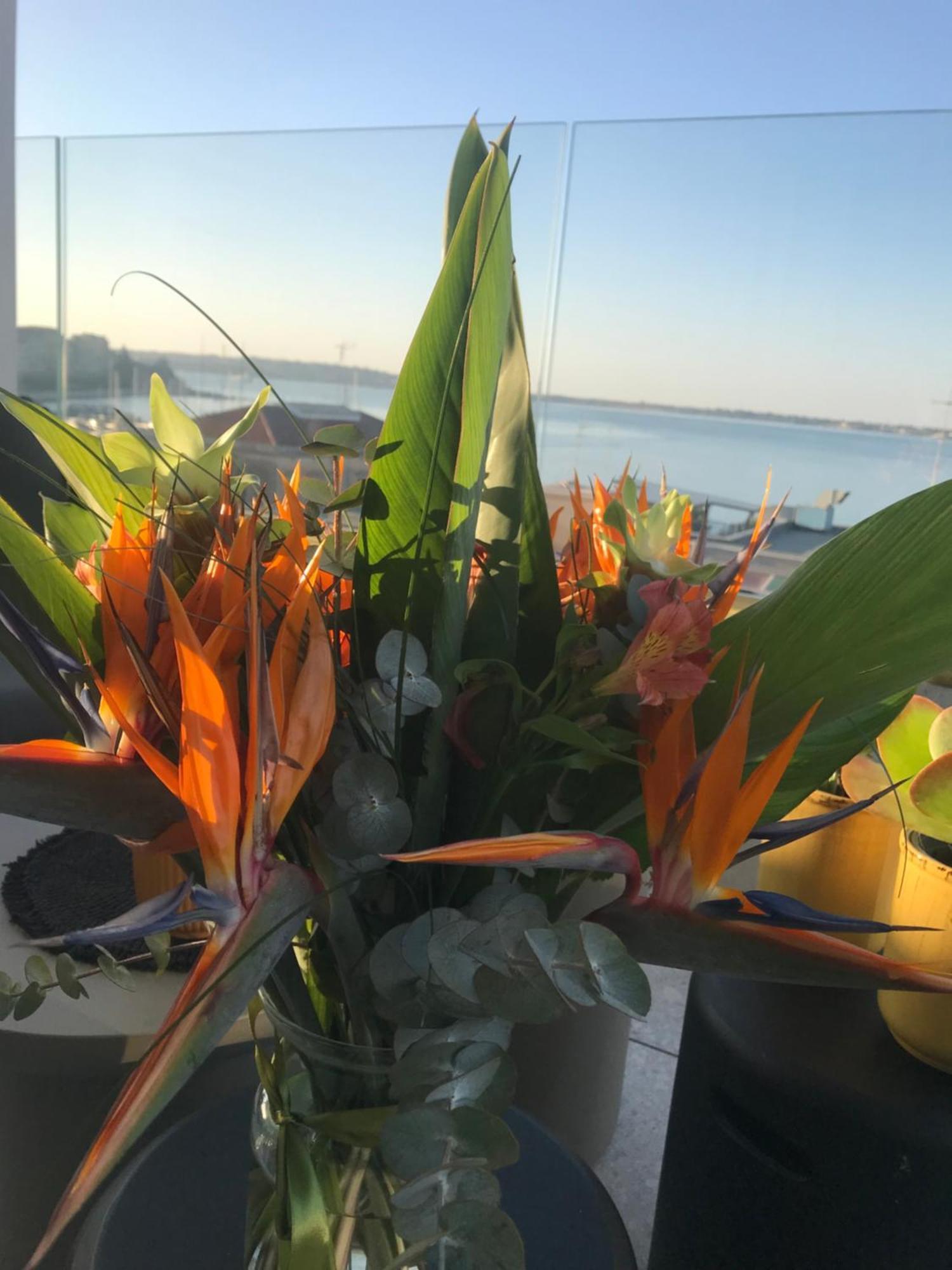 La Terrazza Sul Porto Bed & Breakfast Syracuse Eksteriør bilde