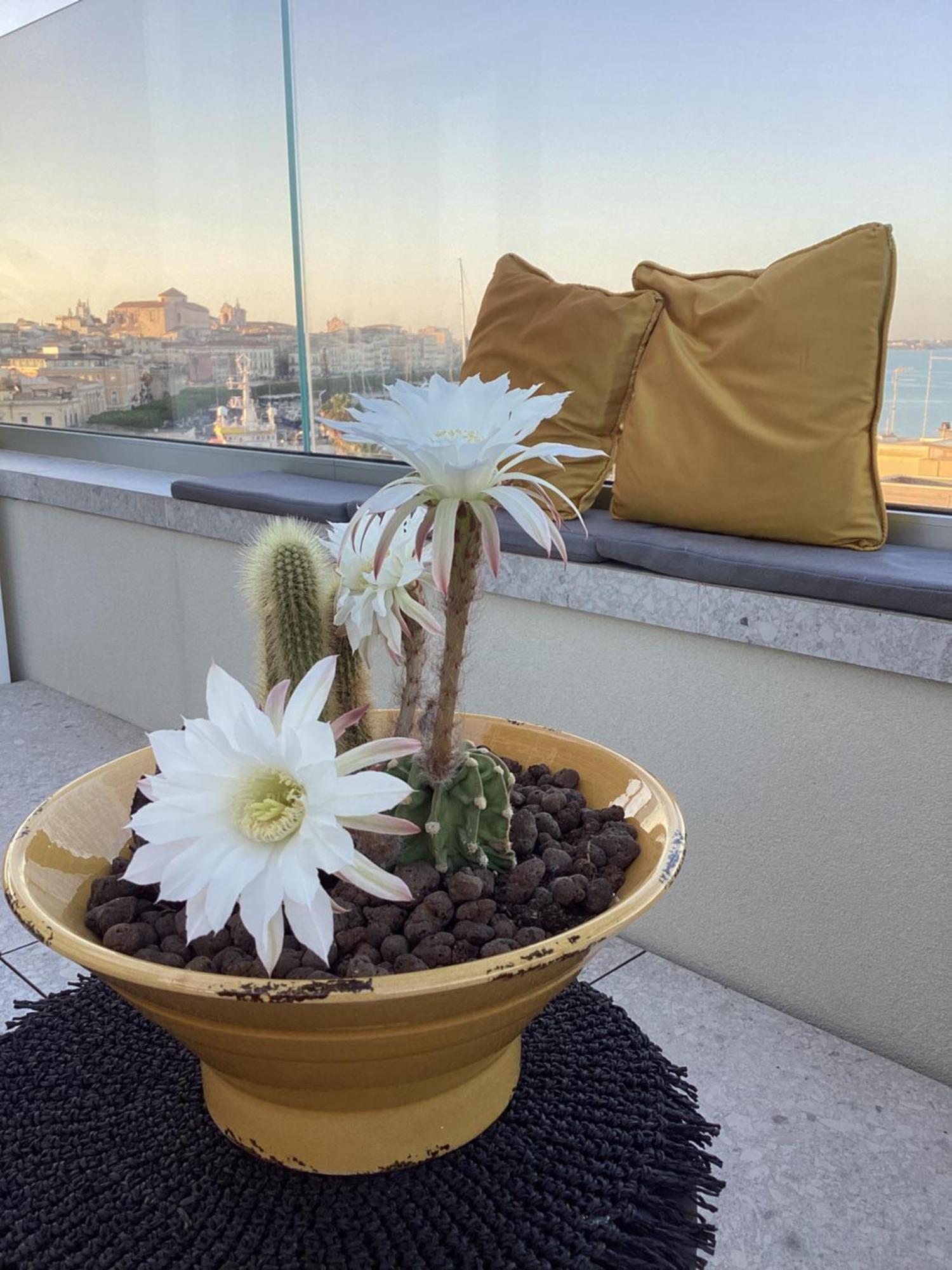 La Terrazza Sul Porto Bed & Breakfast Syracuse Eksteriør bilde