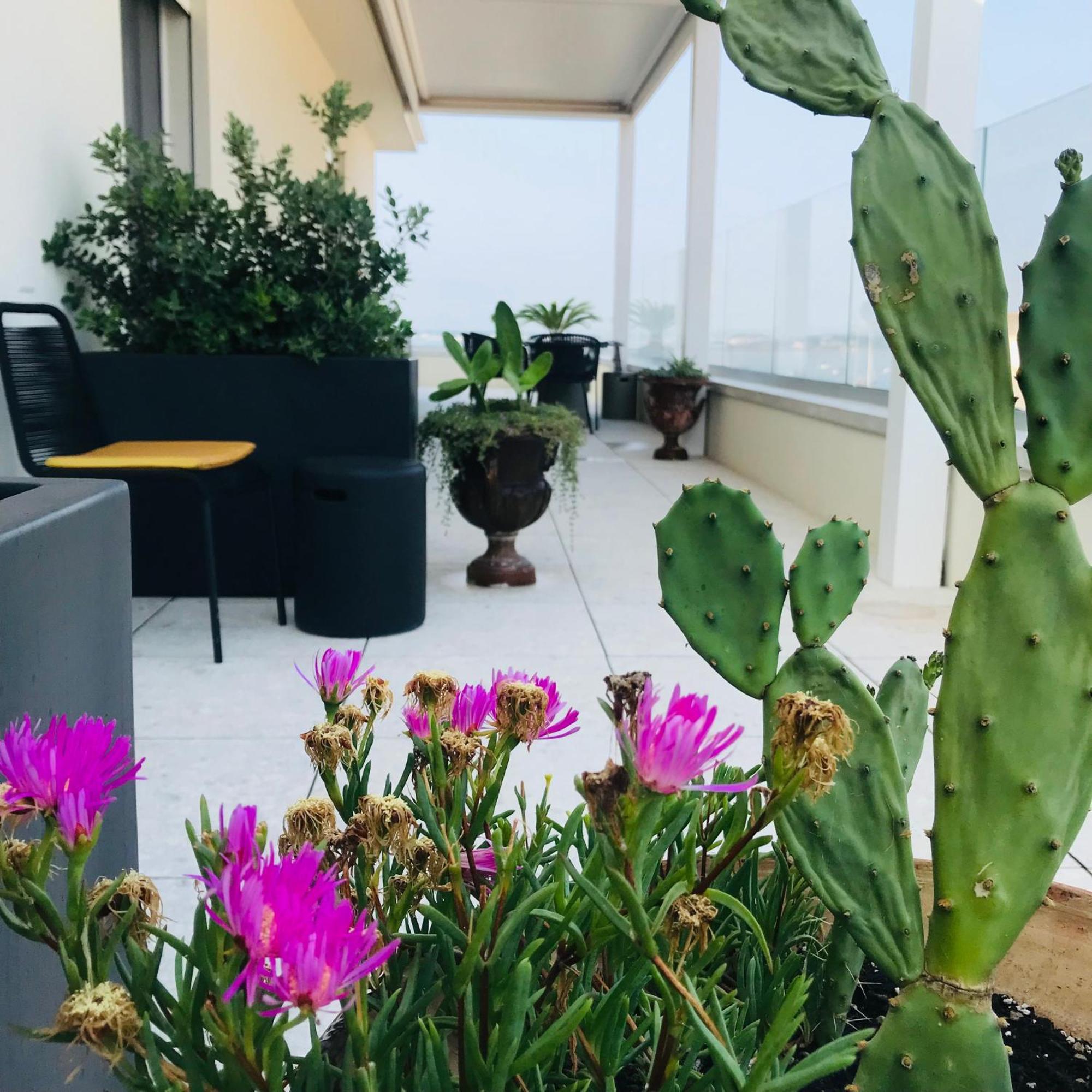 La Terrazza Sul Porto Bed & Breakfast Syracuse Eksteriør bilde